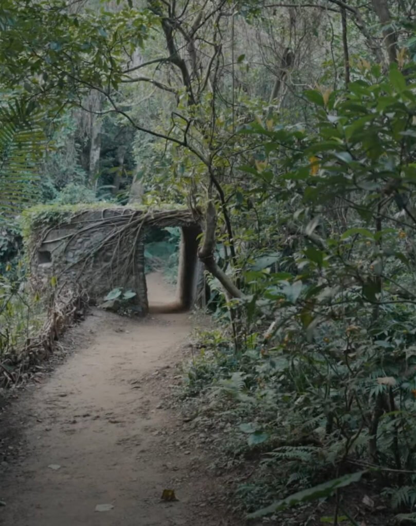 Taipei Fuyang Eco Park | Finding Tranquility in the Urban Heart
